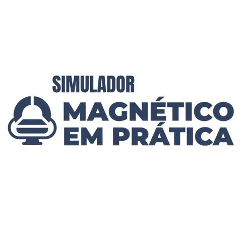 Simulador Magnético na Prática
